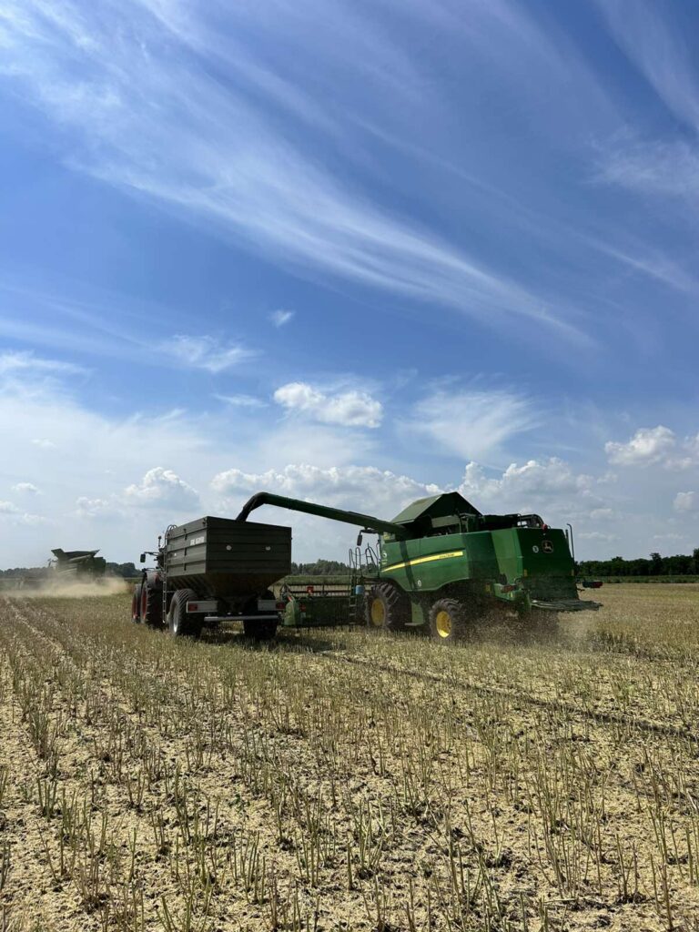 На полях МХП-Агро-С Центральний Хаб стартували жнива