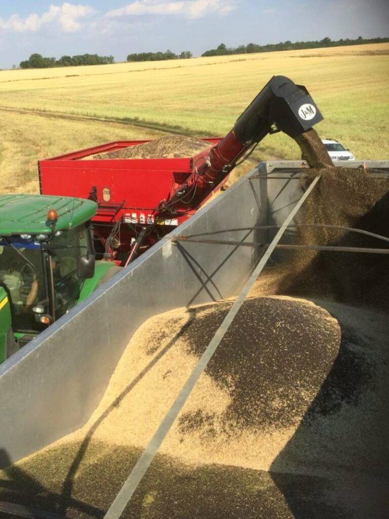 У Tekom Agro Group збирають озимий ріпак
