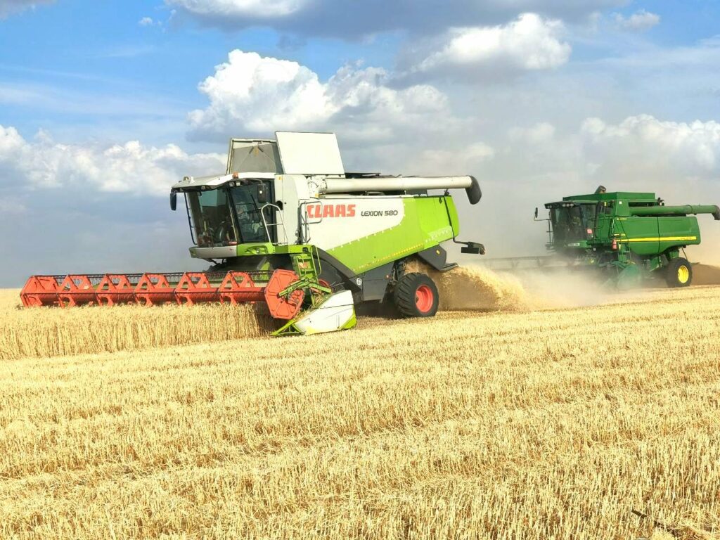 На полях Tekom Agro Group, на півночі Одеської області, стартував збір врожаю озимої пшениці