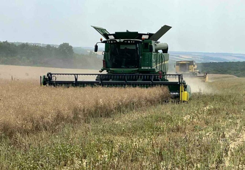 У Tekom Agro Group триває обмолот озимого ріпаку