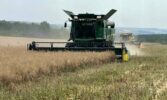 У Tekom Agro Group триває обмолот озимого ріпаку