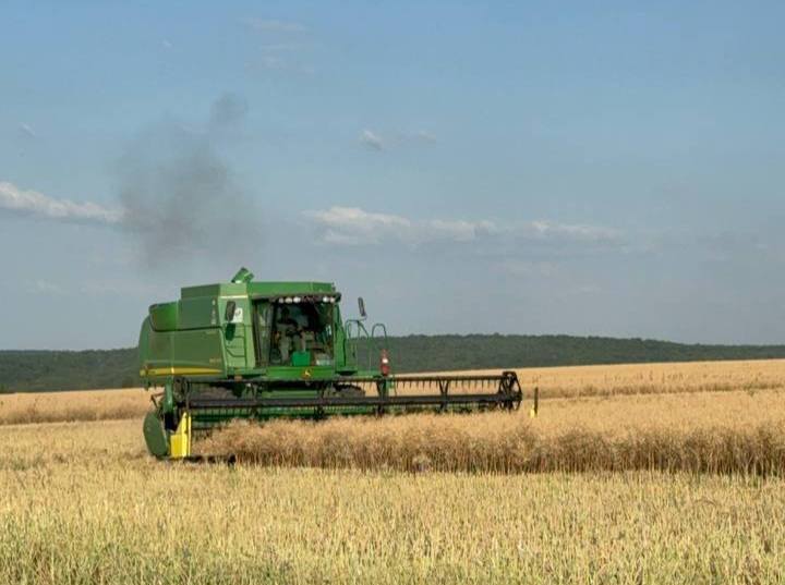 У Tekom Agro Group завершився збір озимого ріпаку