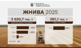 Станом на 11 липня 2025 року в Україні вже обмолочено 919,9 тис. га та намолочено 2 620,7 тис. тонн ранніх зернових та зернобобових культур. Зокрема: • Пшениці – обмолочено 434,8 тис. га, намолочено – 1 238,7 тис. тонн; • Ячмінь – обмолочено 364 тис. га, намолочено – 1 153,7 тис. тонн; • Горох – обмолочено 119,7 тис. га намолочено – 225,1 тис. тонн. • Загалом жнивують вже аграрії вісімнадцяти областей. Серед лідерів, зокрема: • Одеська – обмолочено 353 тис. га, намолочено – 1 029,5 тис. тонн; • Миколаївська – обмолочено 261,9 тис. га, намолочено – 651,5 тис. тонн; • Дніпропетровська – обмолочено 119,2 тис. га, намолочено – 283 тис. тонн. • Ріпак збирають в дев’яти областях. Вже зібрано 290,1 тис. тонн на площі 178,9 тис. га.