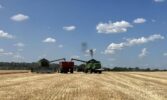 У Tekom Agro Group завершили збір озимого ячменю та озимого ріпаку