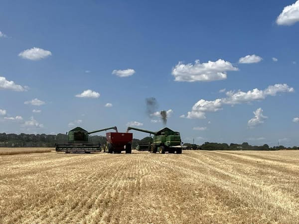 У Tekom Agro Group завершили збір озимого ячменю та озимого ріпаку