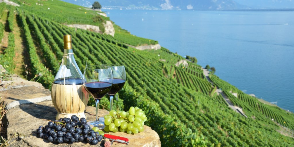 Швейцарія: країна сиру, годинників і фермерської досконалості