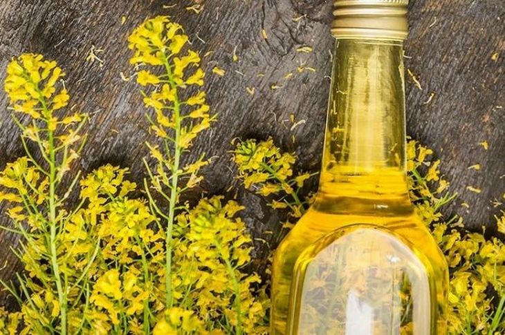 Канада планує наростити потужності з переробки ріпаку на 2 млн тонн