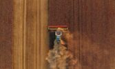 Конітнентал Фармерз Груп продовжує жнива: завершується збір ріпаку та триває обмолот пшениці