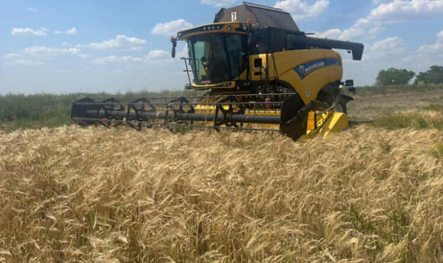 Епіцентр Агро завершує жнива ранніх зернових: урожайність пшениці — 80 ц/га, ріпаку — 33 ц/га