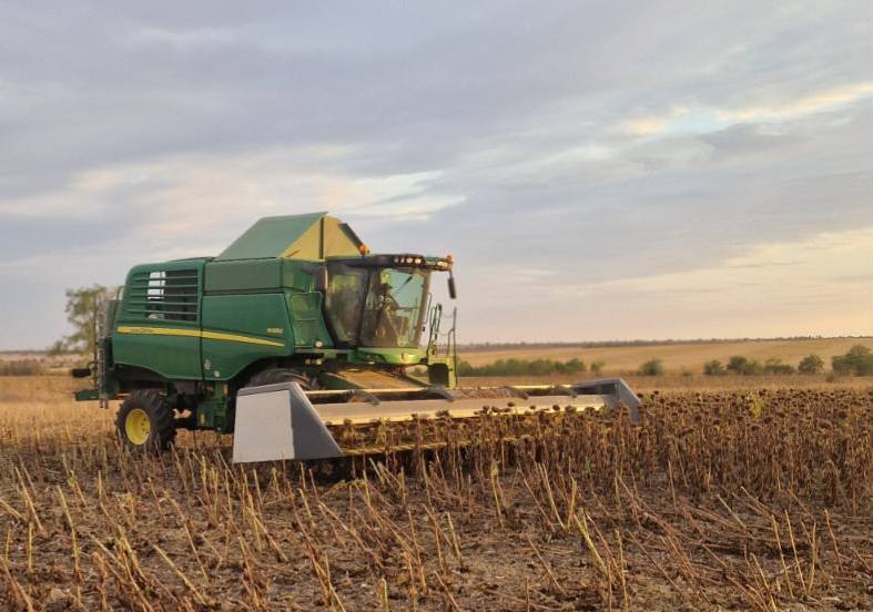 В Одеській області стартувало збирання соняшнику: господарство «Чорноморець» фіксує вплив посухи на врожайність