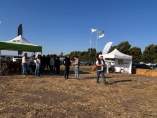 День Поля «Агропазли: Соя і кукурудза» 2025