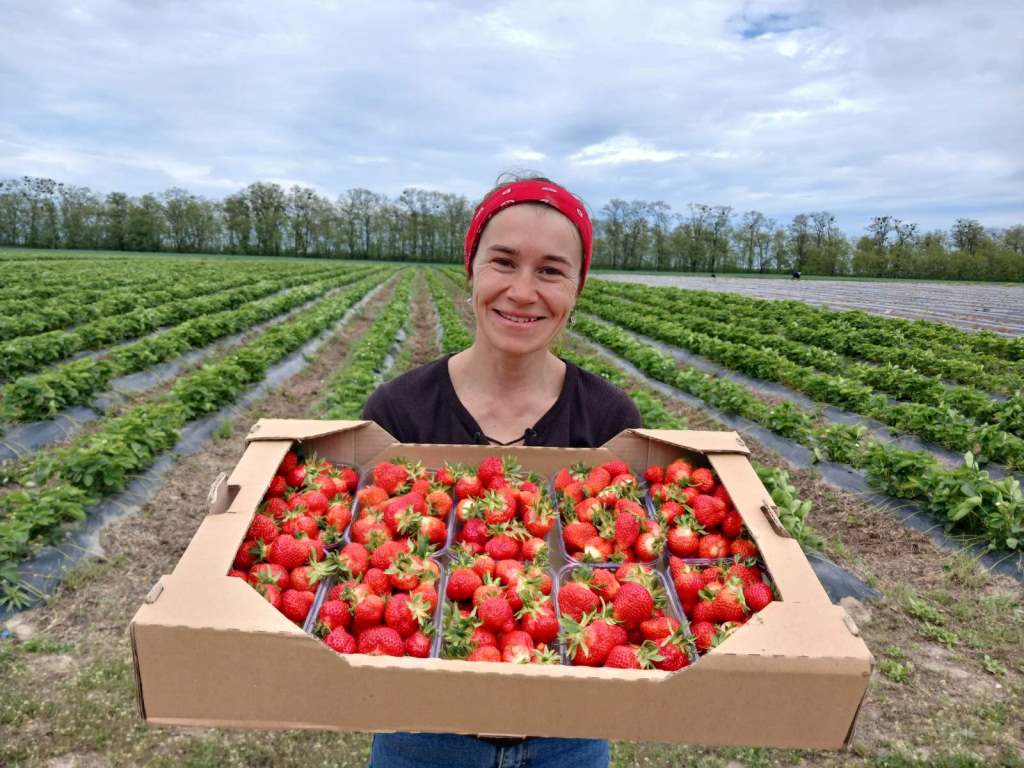 Фермерка з Київщини розпочала виробництво замороженої плодово-ягідної продукції

завдяки гранту від Corteva Agriscience