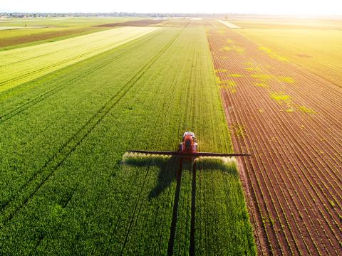 Швейцарія: країна сиру, годинників і фермерської досконалості