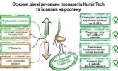 Сильний старт – високий урожай: роль біостимуляторів у передпосівній обробці