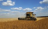 АГРОТРЕЙД завершує жнива сої та активно збирає соняшник