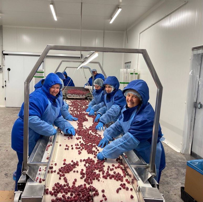 Як органічні ягоди та фрукти стають інноваційним перекусом від ТМ Panfruit. Історія сімейного бізнесу