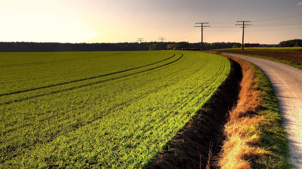 Данія – аграрна країна Півночі: від вікінгів до «розумних» ферм