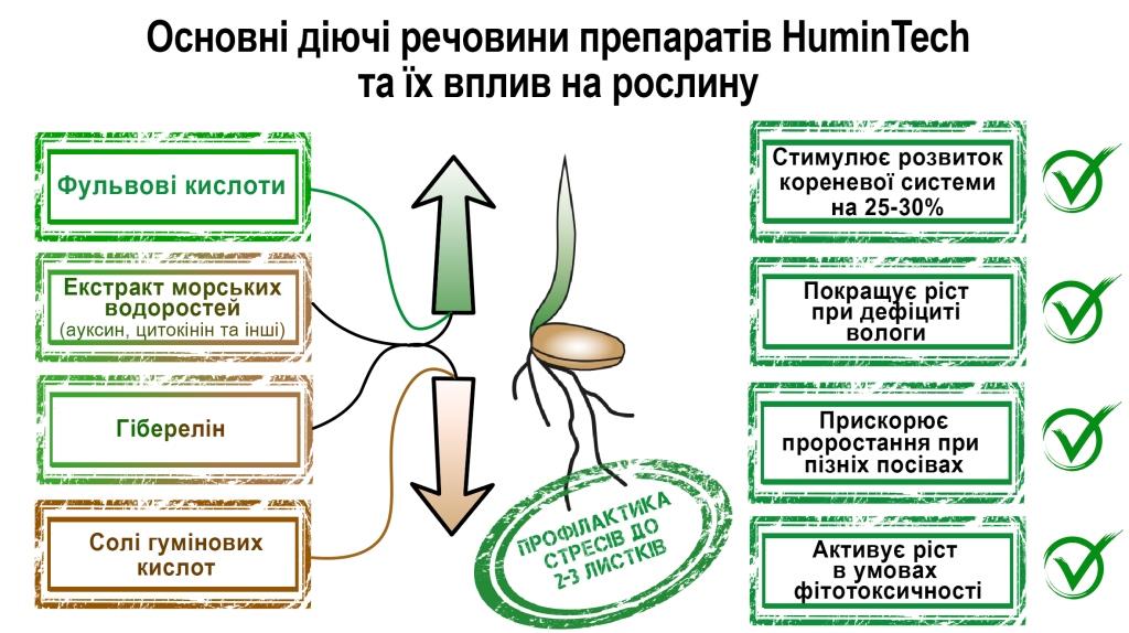 Сильний старт – високий урожай: роль біостимуляторів у передпосівній обробці