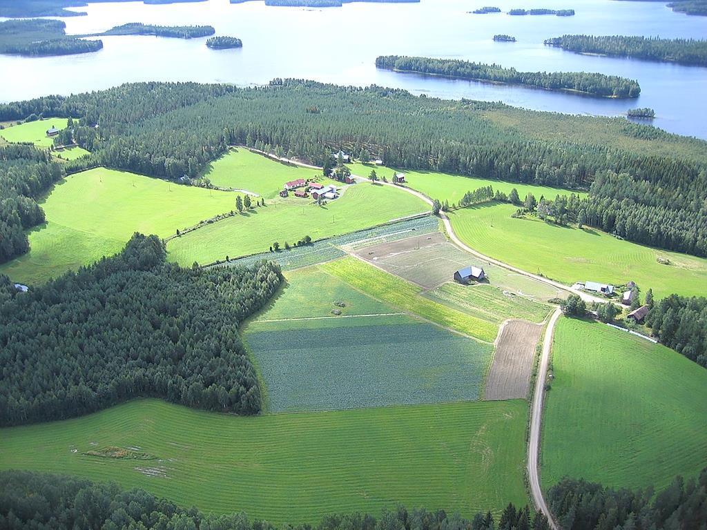 Агросектор Фінляндії: шлях від суворого виживання до технологічного прориву