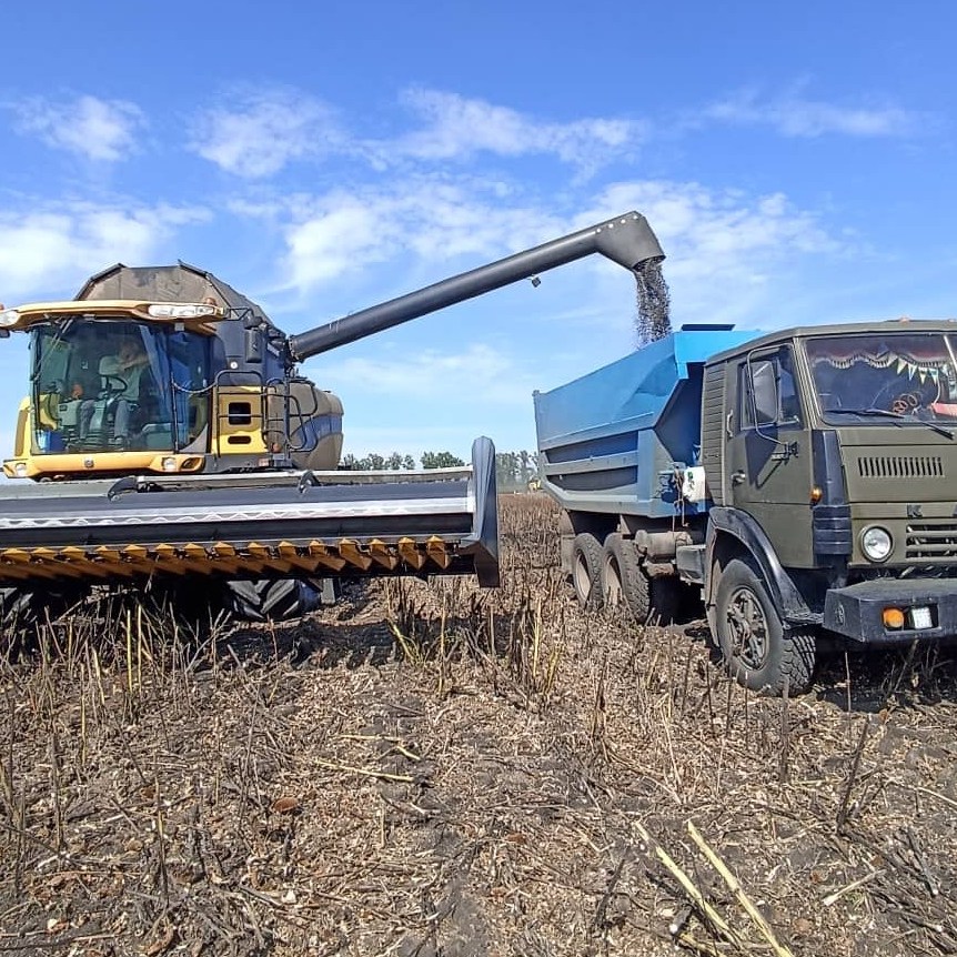 Агрофірма «Ольгопіль» розпочала збір технічних культур