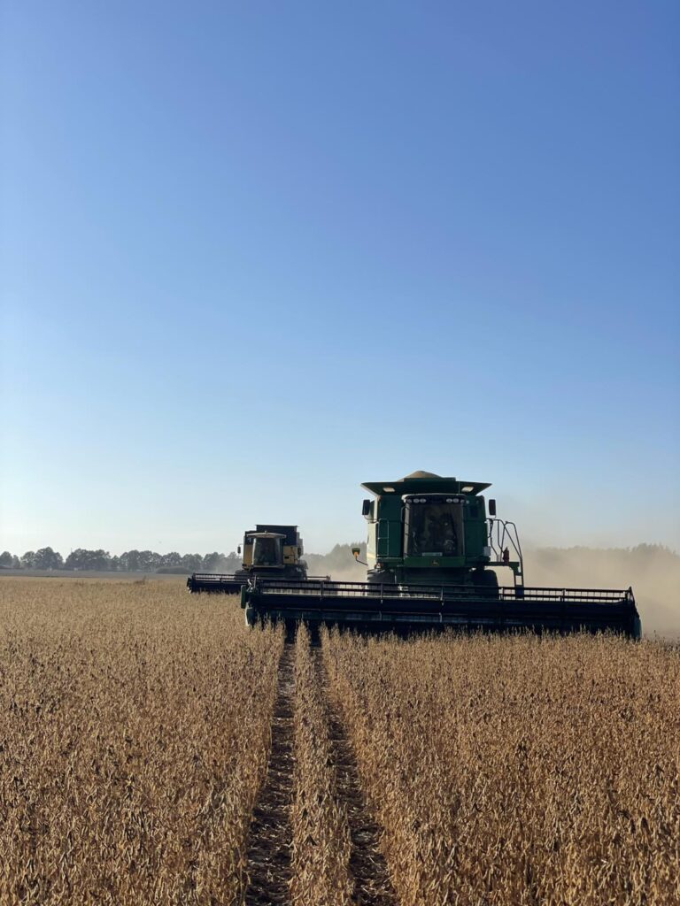 У Чернігівському кластері Agricom Group триває збір соняшника та сої