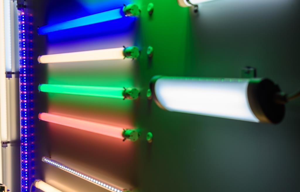 LED-освітлення для АГРО-потреб: індивідуальні можливості