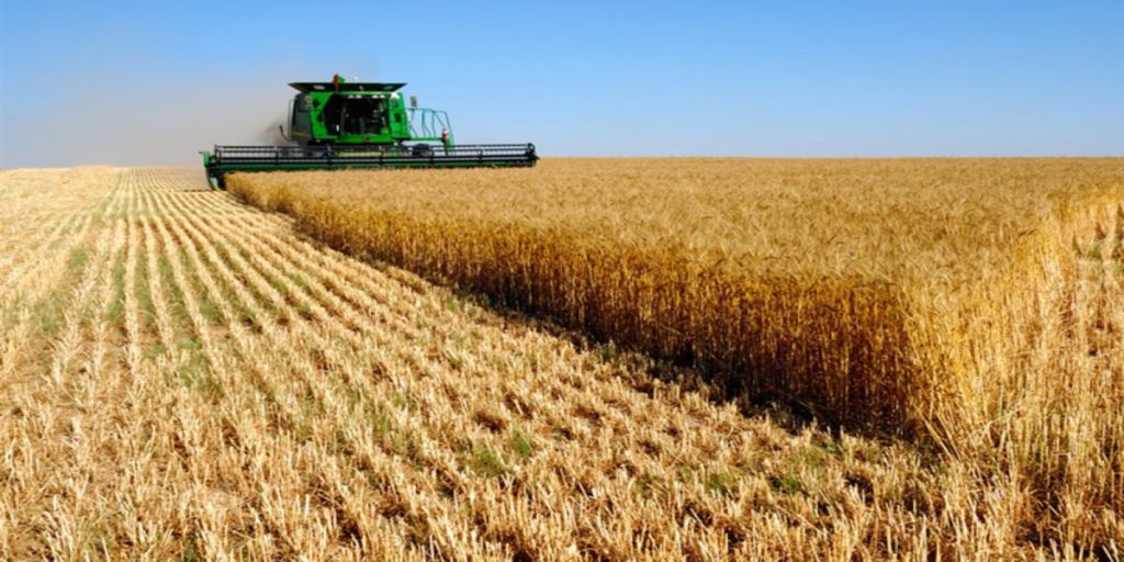 Данія – аграрна країна Півночі: від вікінгів до «розумних» ферм