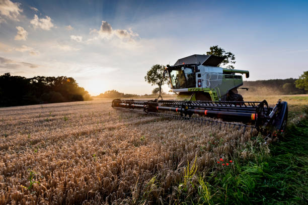 Данія – аграрна країна Півночі: від вікінгів до «розумних» ферм