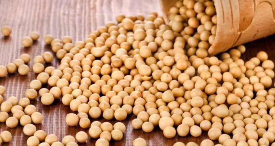 Уряд затвердив порядок підтвердження походження ріпаку та сої для пільгового експорту