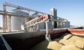 «Кернел» зберіг лідерство серед експортерів зерна з України у 2025 році