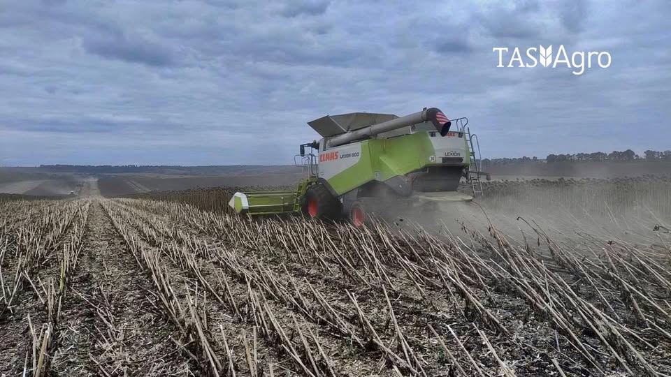 ТАС Агро Центр успішно завершило збирання соняшнику попри складний сезон