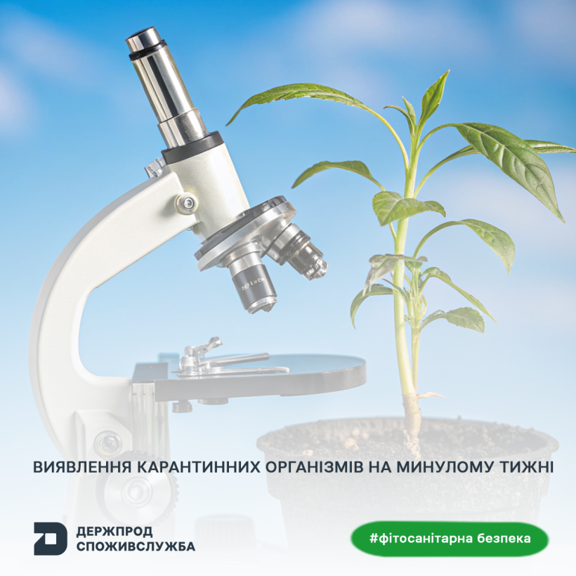 Держпродспоживслужба оформила понад 4,3 тис. фітосанітарних сертифікатів за тиждень