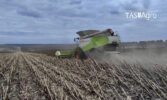 ТАС Агро Центр успішно завершило збирання соняшнику попри складний сезон