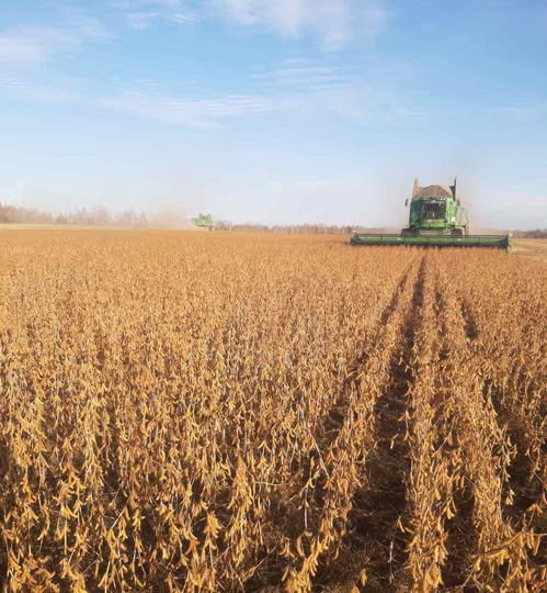 У Житомирському агрокластері Agricom Group завершується збирання сої