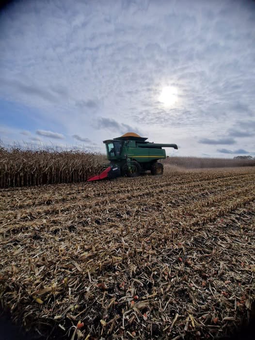 АГРОТРЕЙД фіксує рекордну врожайність кукурудзи: до 120% навіть на прифронтових полях