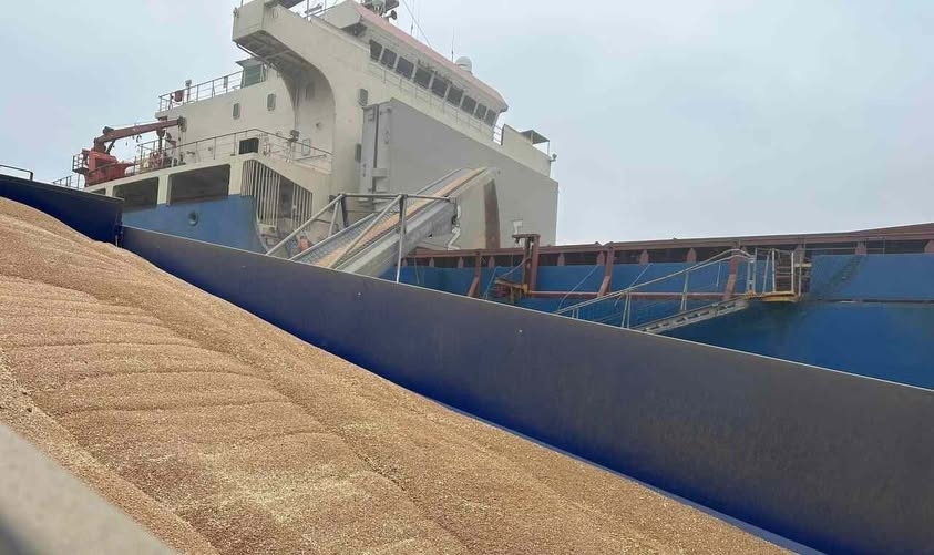 Експорт українського зерна впав на 35%: найбільше просіла кукурудза — мінус 55% до минулого року