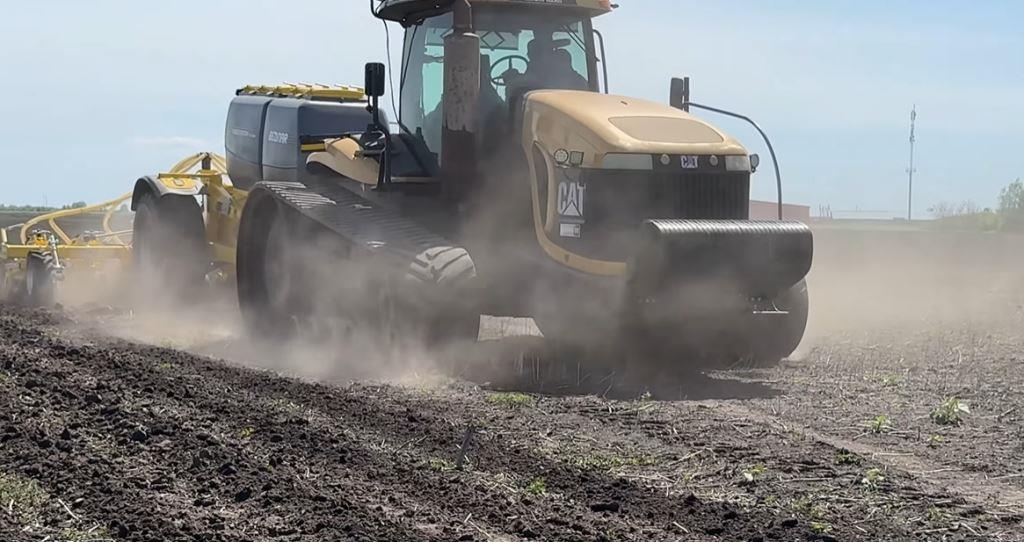 Кукурудза з шурфу: який з 4 ґрунтообробітків спрацював найкраще?