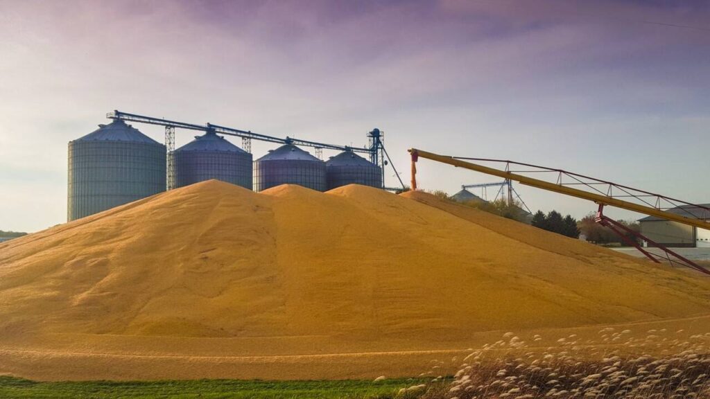 Важливість контролю балансу сміттєвої домішки на елеваторі