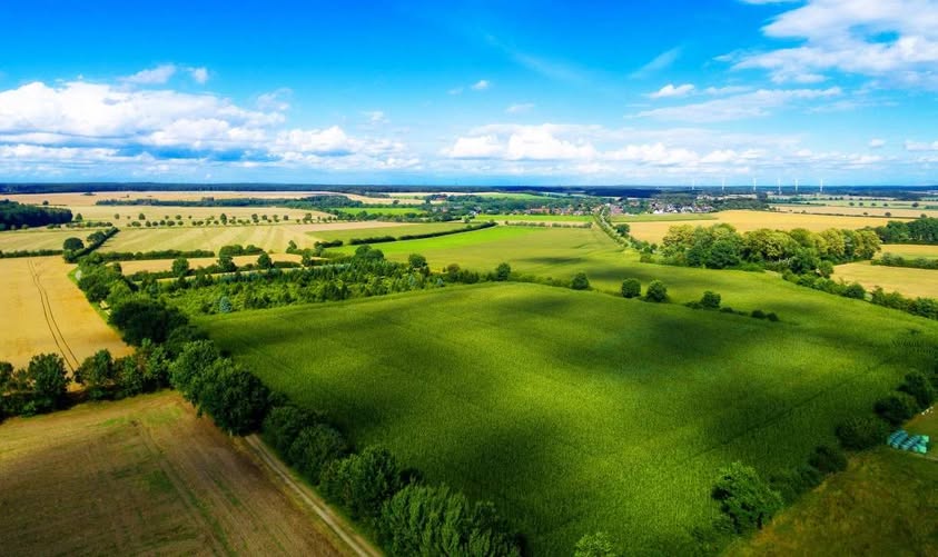 Україна — у світовій п’ятірці лідерів за часткою сільськогосподарських земель