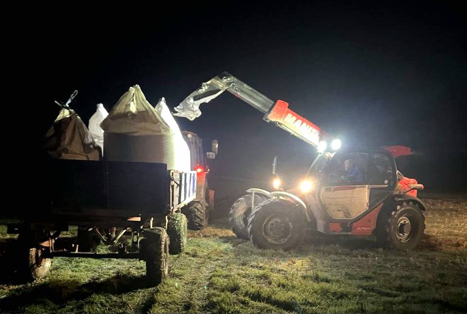 Tekom Agro Group завершив посів зимуючого гороху