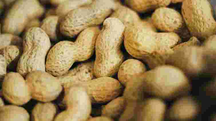 Група АГРОТРЕЙД завершила збирання арахісу