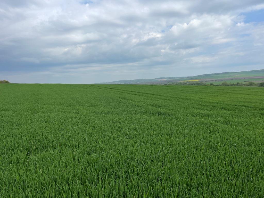 Сівба без зайвих людей і техніки: як зекономити ресурси в сезон