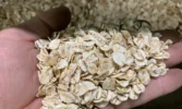 ЕКОР відкрив сучасний завод з виробництва пластівців за підтримки USAID та технологій OLIS