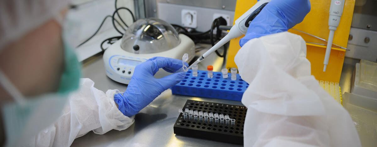 FAO проти міфів: вакцини від АЧС – науковий прорив, а антивакцинаторство шкодить свинарству