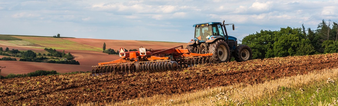 Сільське господарство Чехії — від спадщини до сучасності