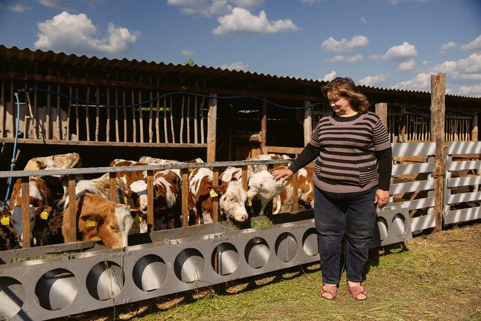 Німеччина та ФАО запускають мільйонний агропроєкт для відновлення сільських громад України