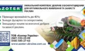 Надійний захист рослин від склеротиніозу