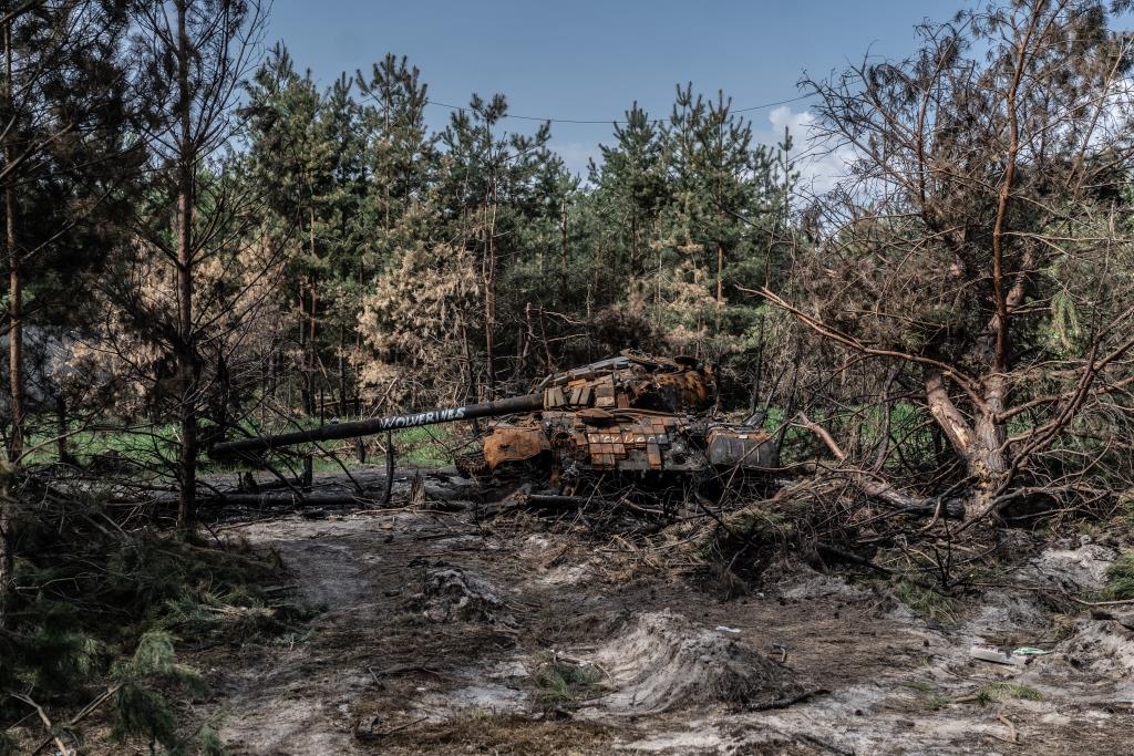 Що означають 4 роки повномасштабної війни для лісів України
