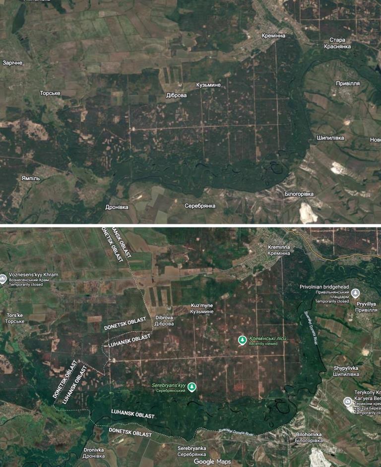 Що означають 4 роки повномасштабної війни для лісів України