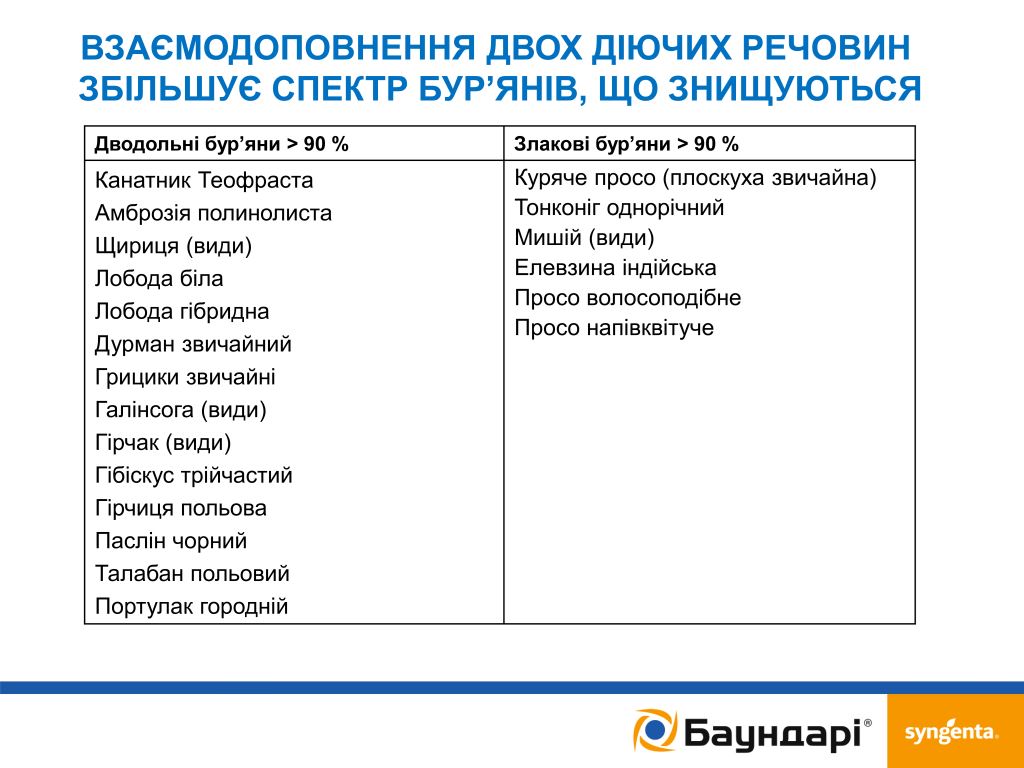 Гербіцид Баундарі® — безпечний старт для сої!